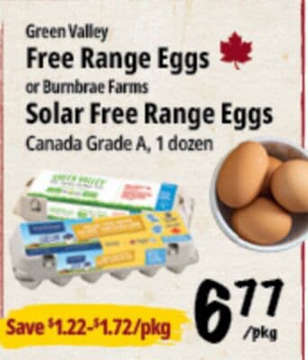 Green Valley Free Range Eggs or Burnbrae Farms Solar Free Range Eggs